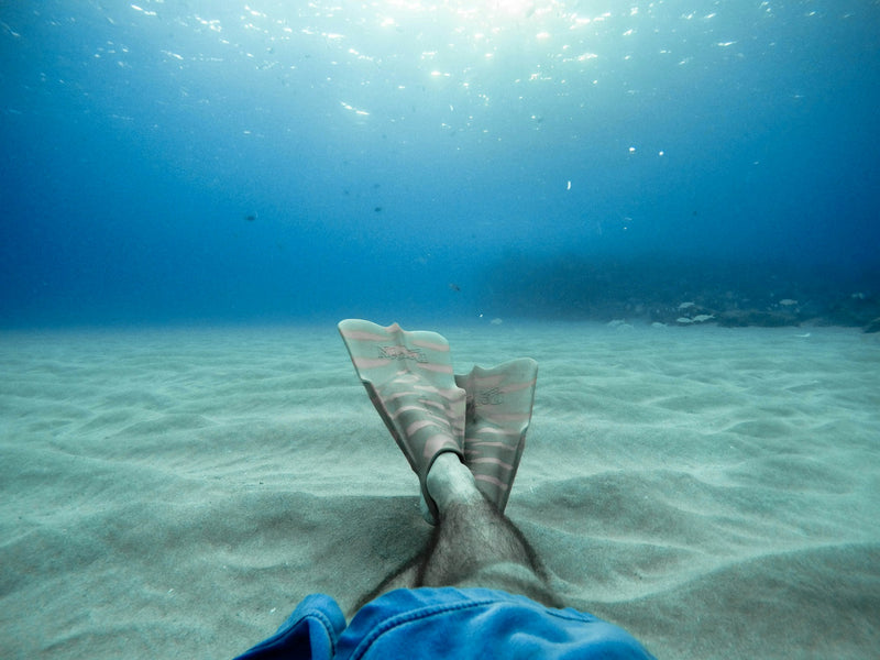 Swim Fins Guide: Open-Heel vs Full-Foot and Blade Types
