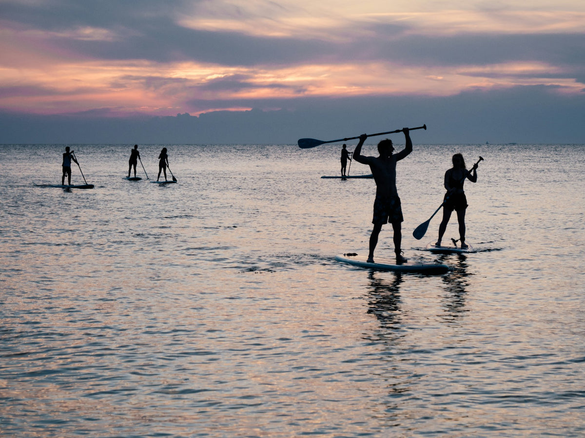 Silhouettes of several people stand-up paddleboarding across calm water