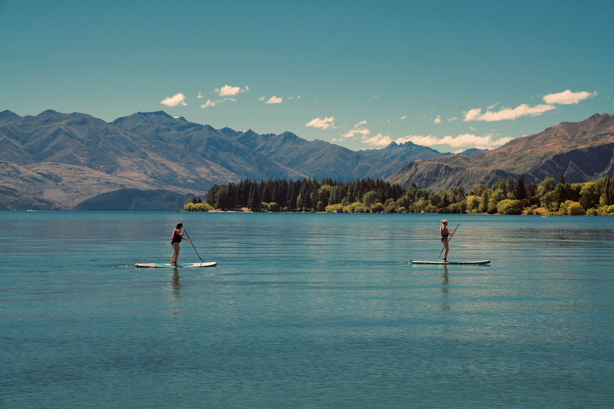 Two people stand-up paddleboarding side by side on open water in daylight