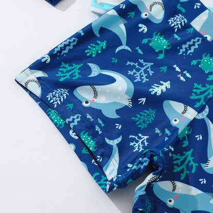Toddler Boys' Long-Sleeve Two-Piece Swimsuit — detail 3