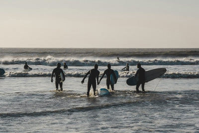 Wetsuit Guide
