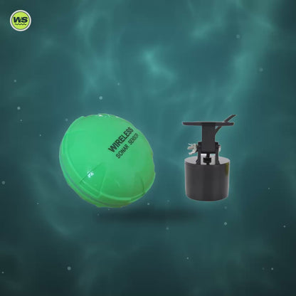 Wireless Dual-Probe Phone Fish Finder — product video