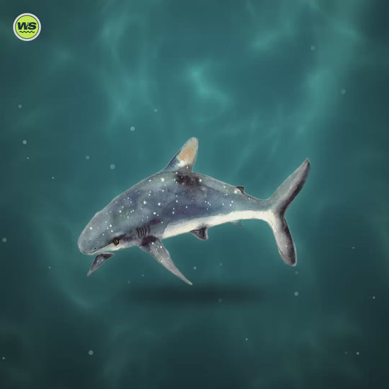 Round Marine-Life Microfiber Beach Towel — product video