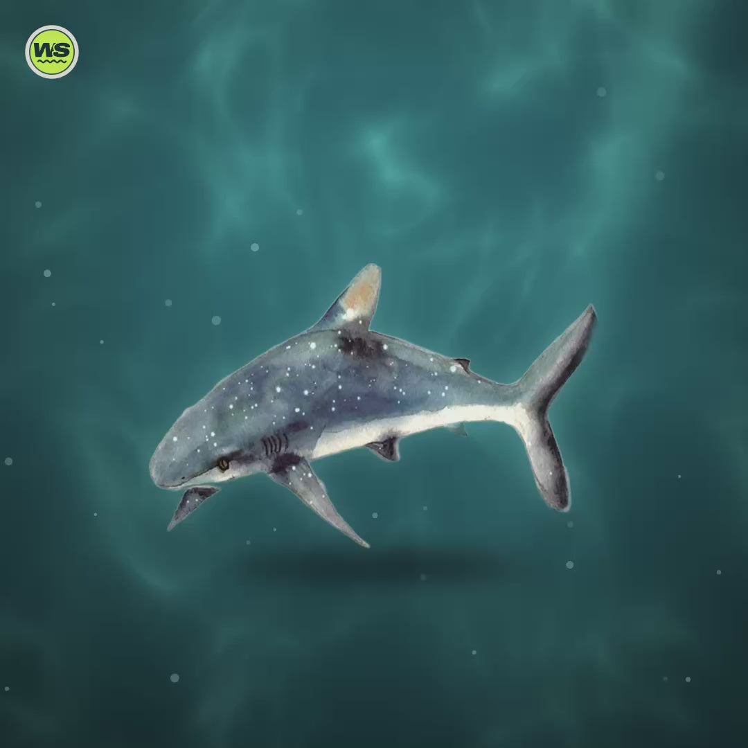Round Marine-Life Microfiber Beach Towel — product video