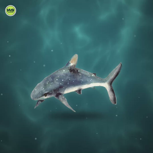 Round Marine-Life Microfiber Beach Towel — product video