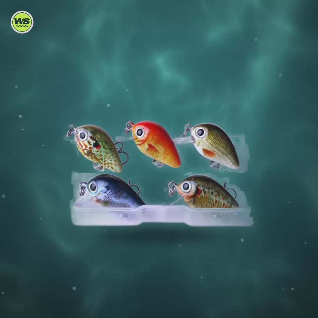 Mini Crankbait Lure Set (5-Pack) — product video