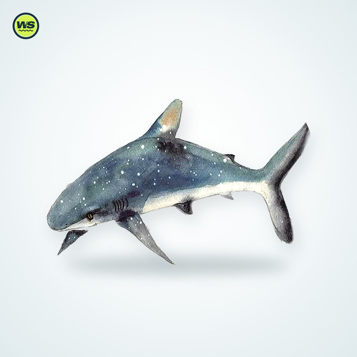 Round Marine-Life Microfiber Beach Towel | Watersports Supply